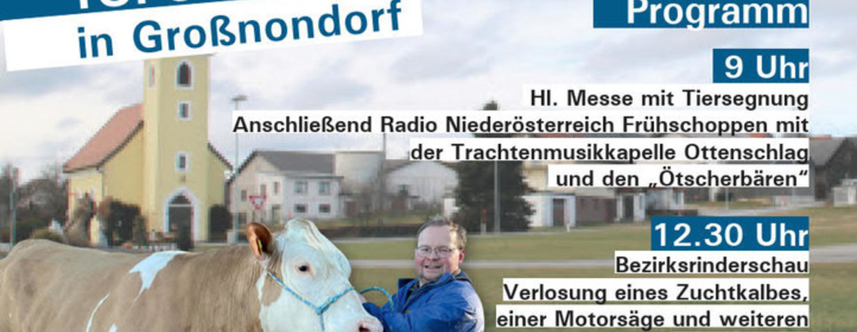 Feuerwehr Fest mit Rinderschau und Radio NÖ Frühschoppen